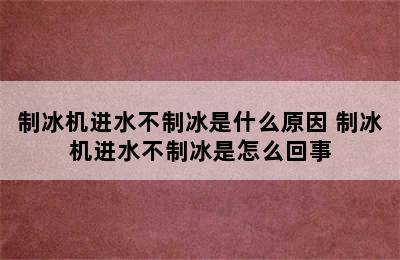 制冰机进水不制冰是什么原因 制冰机进水不制冰是怎么回事